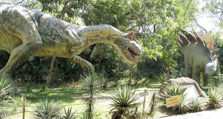 Balasinor Dinosaur Fossil Park Ahmedabad (Entry Fee, Timings, Images ...