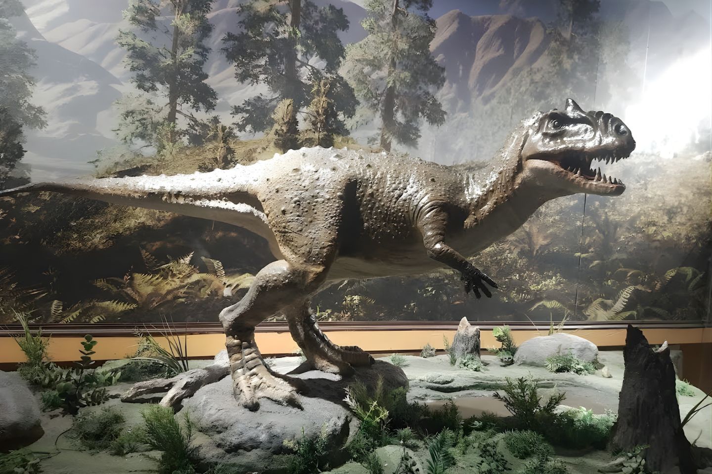 Balasinor Dinosaur Fossil Park